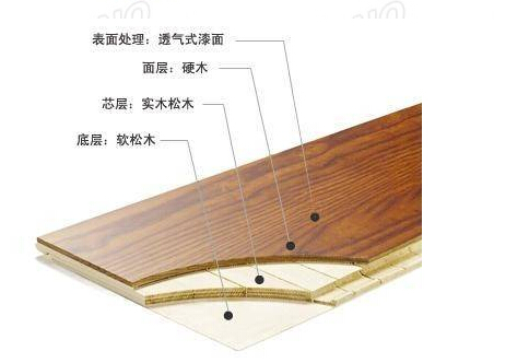 www.dmlbb.com