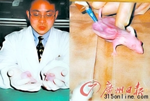 中國工程院候選院士研究人耳鼠被質(zhì)疑學術(shù)造假