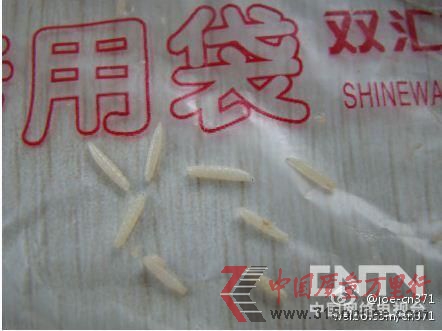 網(wǎng)曝雙匯肋排燙出蛆蟲 公司稱確有“白點”但需鑒定(微博供圖)。 網(wǎng)曝雙匯肋排燙出蛆蟲 公司稱確有“白點”但需鑒定(微博供圖)。